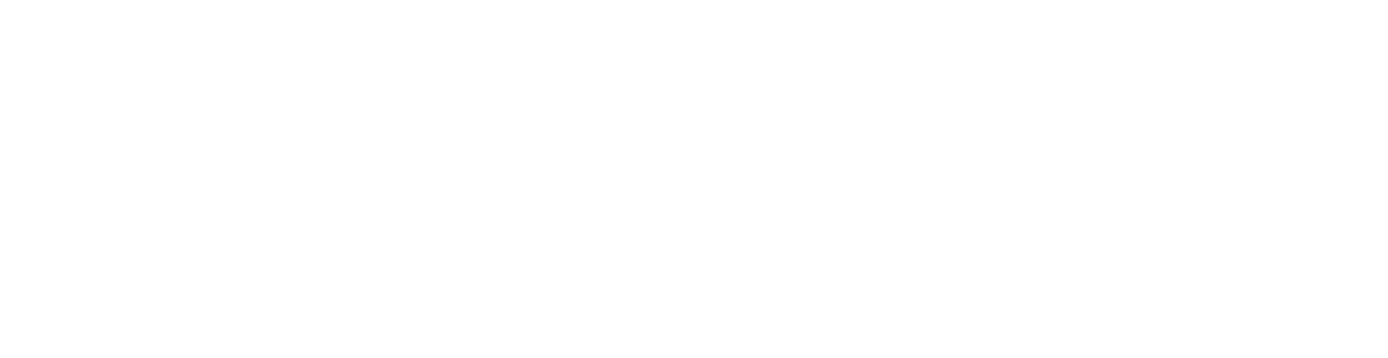 PhysioEdge LOGO Horizontal Monochromatic WHITE