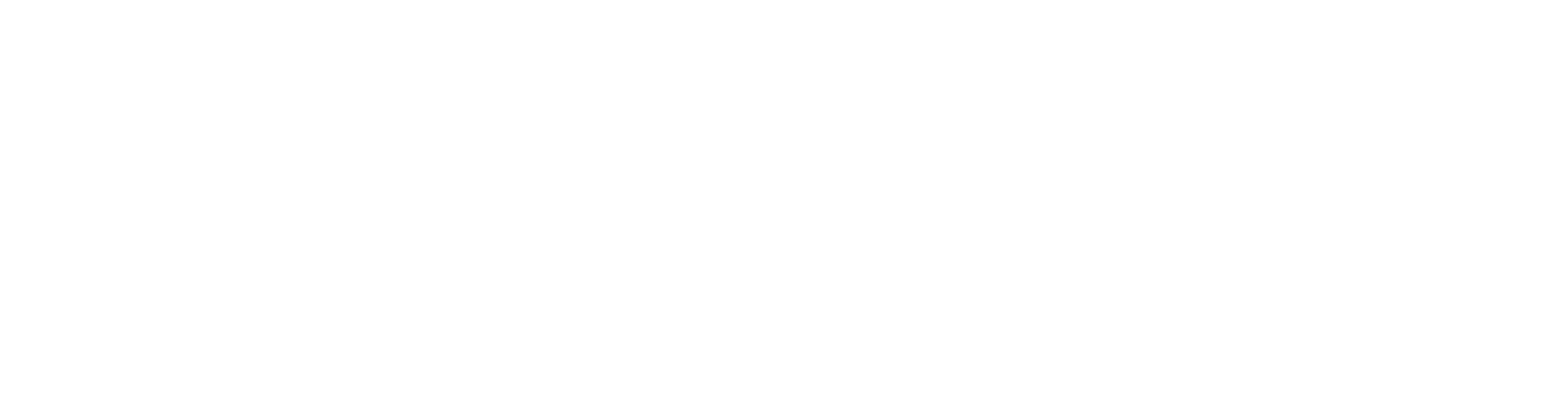 PhysioEdge LOGO Horizontal Monochromatic WHITE